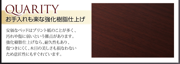 コンセント付き収納ベッド Ever エヴァー