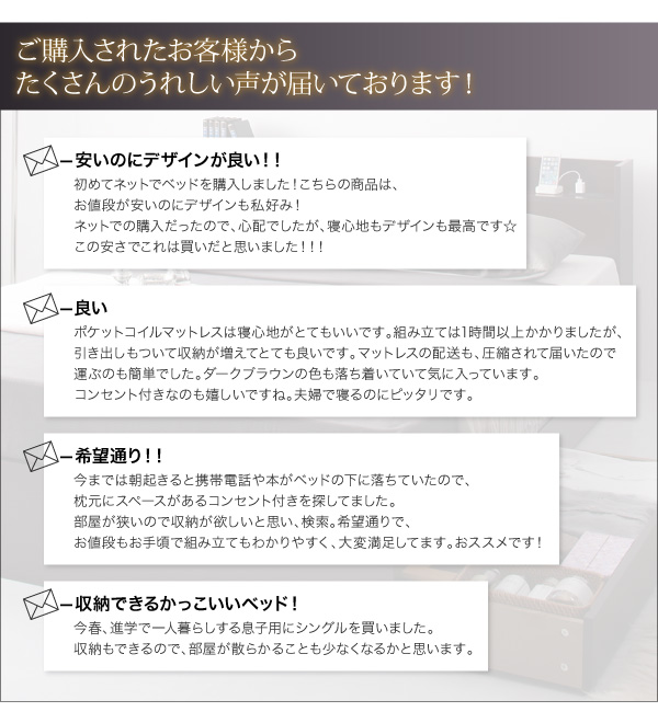 コンセント付き収納ベッド Ever エヴァー