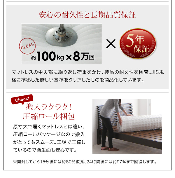 棚・コンセント付きフロアベッド SKY line スカイ・ライン