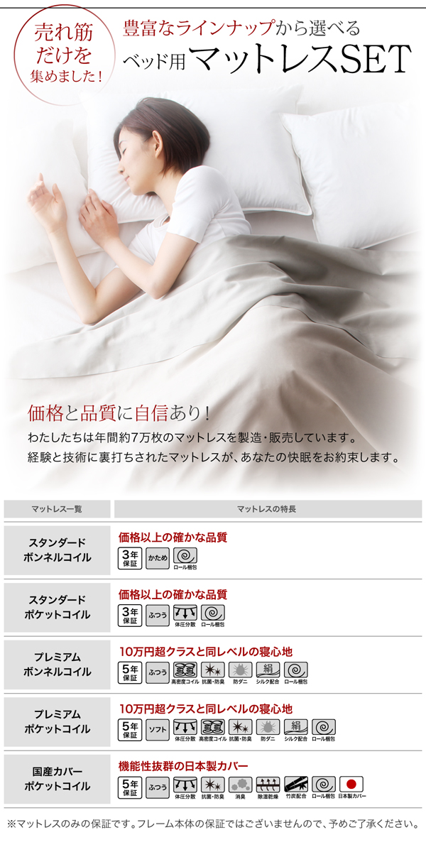 棚・コンセント付きデザインすのこベッド Haagen ハーゲン