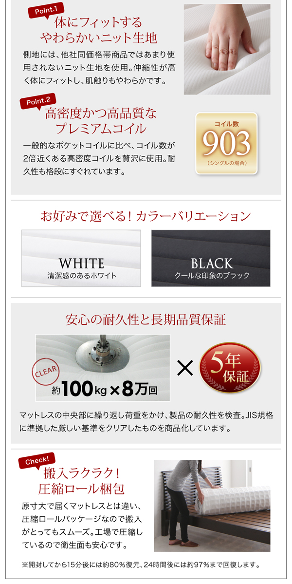 棚・コンセント付きデザインすのこベッド Haagen ハーゲン