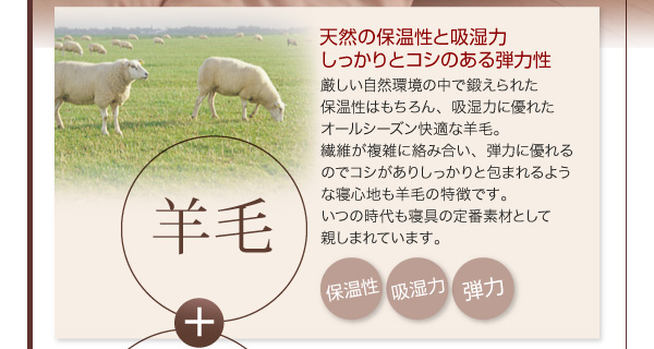 ボリューム布団6点セット FLOOR フロア 羊毛混タイプ 6点 8点セット