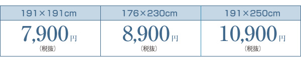 モダンい草ラグ【雅】 サイズ別価格表