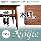 �k���f�U�C���L�k���G�N�X�e���V�������[�e�[�u��