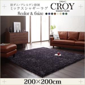 防ダニ・アレルゲン抑制ミックスシャギーラグ【CROY】クロイ 200×200cm