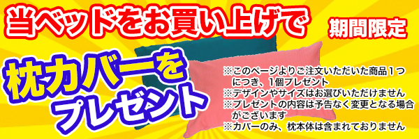 今ご注文いただくともれなく枕プレゼント!
