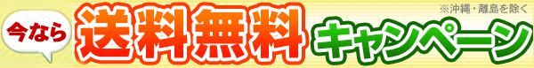 送料無料でお届けします!