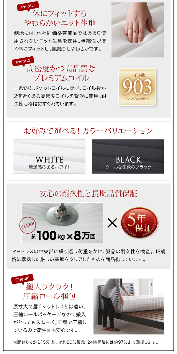 棚・コンセント付きフロアベッド W.coRe ダブルコア