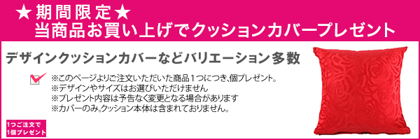 今ご注文いただくとクッションカバープレゼント!