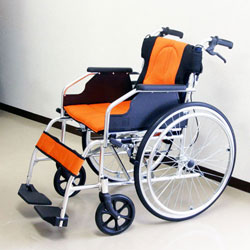 �g���Ԃ��� L100 ������