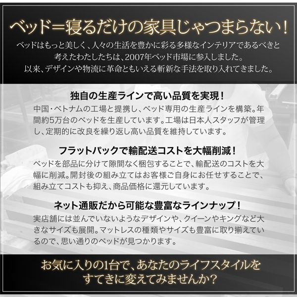 棚・コンセント付き収納ベッド VEGA ヴェガ